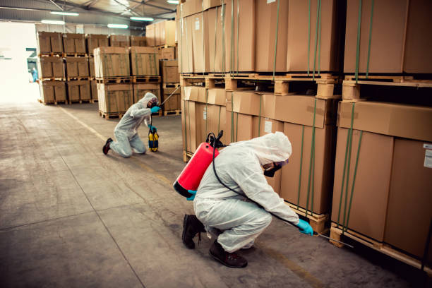 Best Mosquito Control Services  in Laurium, MI