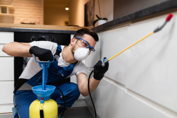 Best Exterminator Services  in Laurium, MI