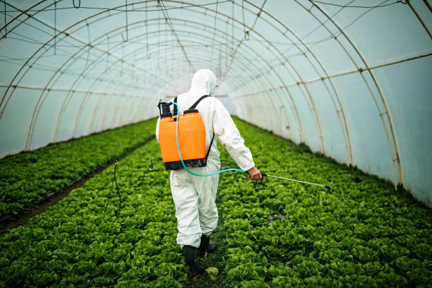 Professional Pest Control in Laurium, MI