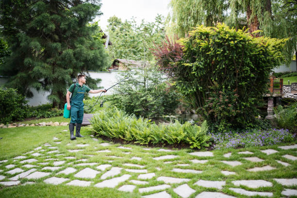 Wasp Removal Services in Laurium, MI
