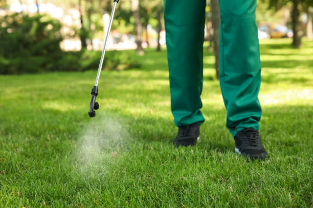 Best Pest Control for Businesses  in Laurium, MI