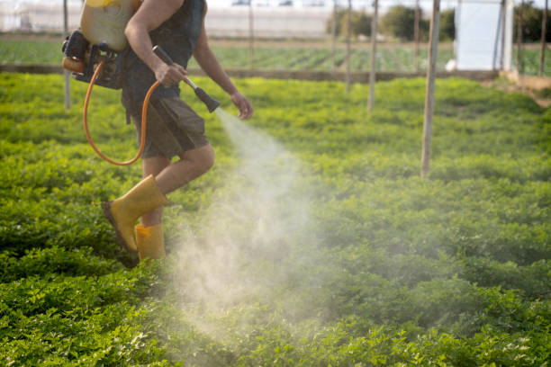 Pest Control for Restaurants in Laurium, MI