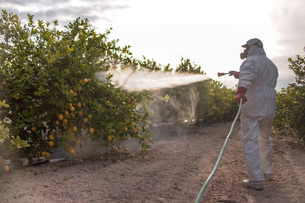 Best Emergency Pest Control  in Laurium, MI