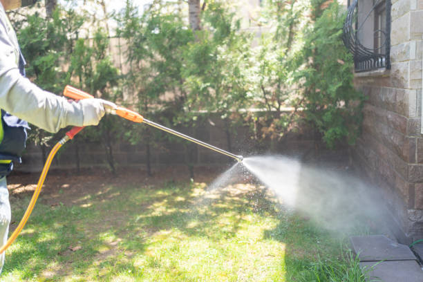 Best Local Pest Control Services  in Laurium, MI