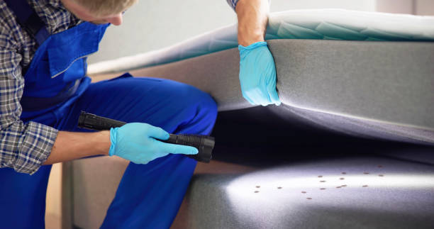 Best Pest Prevention Services  in Laurium, MI