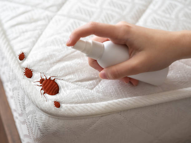 Best Wasp Removal Services  in Laurium, MI