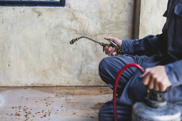 Pest Control Cost in Laurium, MI