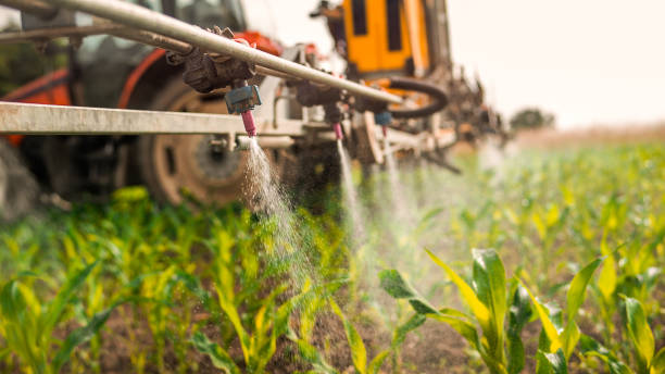 Best Local Pest Control Services  in Laurium, MI