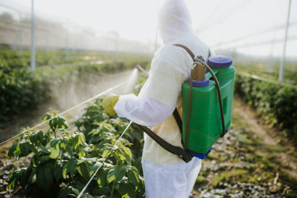 Best Pest Removal Services  in Laurium, MI